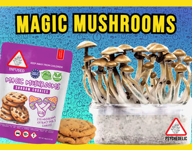 Magic Mushrooms Malta