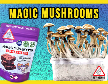 Magic Mushrooms Malta
