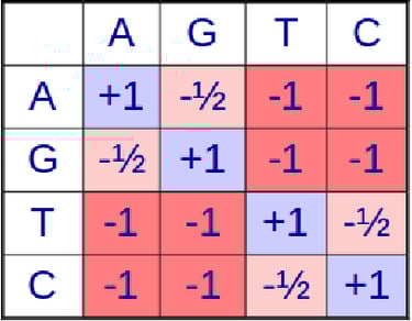 DNA Scoring Matrix
