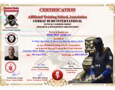 a certificate certificate for a combat school