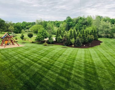 lawn mowed stripes in grass