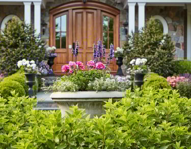 landscaping services flowers plants