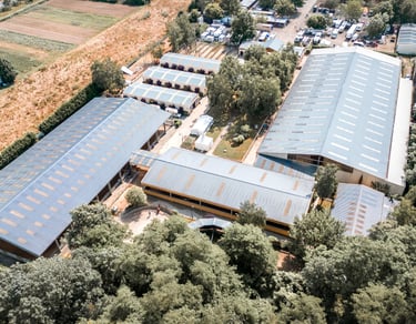 a large building with a large amount of trees
