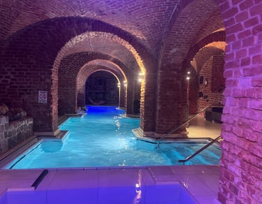 Vaulted Castle Swimming Pool