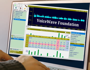 VoiceWave Foundation