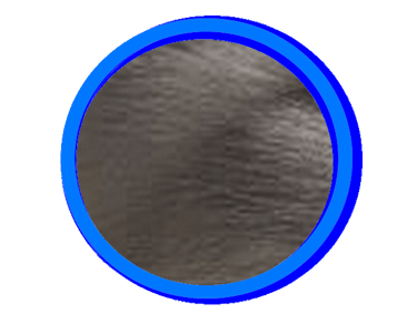 Bleu est la couleur grise du Ragdoll pour le LOOF.