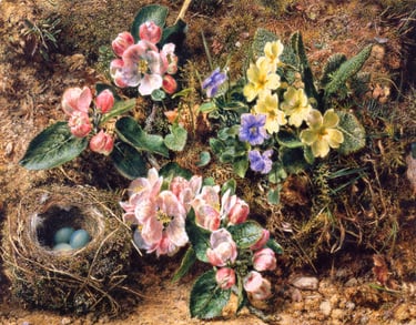 William Henry Hunt - Bird's Nest, Apple Blossoms and Primroses, 1840s