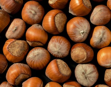 Hazelnut Oil