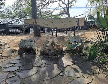 False bay park near Albizia self catering tents in Hluhluwe