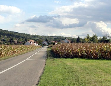 Photo vue large de Aulnay-sur-Mauldre 78126 - ATZ Diagnostic Immobilier