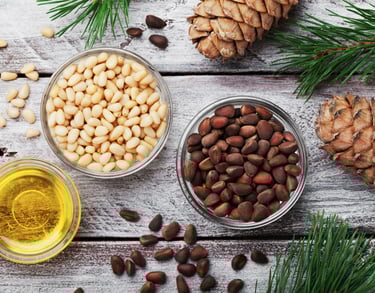 Siberian Pine Nut Oil