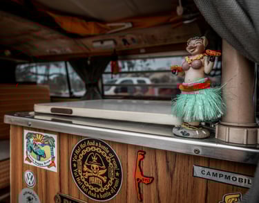 Campervan surfer