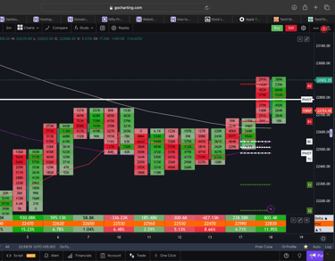 Nifty 50 Future - daily Timeframe order-flow Chart Showing Market Trends for Today Market