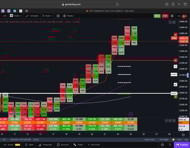Nifty 50 Future - daily Timeframe  order-flow Chart Showing Market Trends  for Today Market 