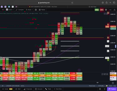 Nifty 50 Future - daily Timeframe  order-flow Chart Showing Market Trends  for Today Market 