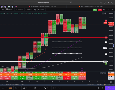 Nifty 50 Future - daily Timeframe  order-flow Chart Showing Market Trends  for Today Market 