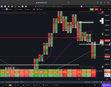 Nifty 50 Future - daily Timeframe  order-flow Chart Showing Market Trends  for Today Market 