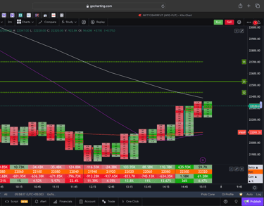 Nifty 50 Future - 30 Minutes Timeframe  order-flow Chart Showing Market Trends  for Today Market 