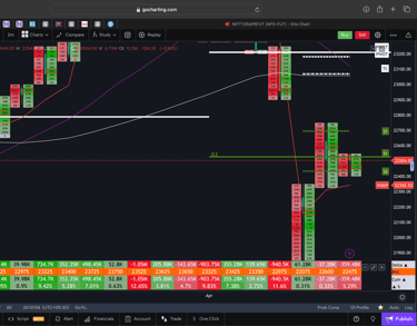 Nifty 50 Future - daily Timeframe  order-flow Chart Showing Market Trends  for Today Market 
