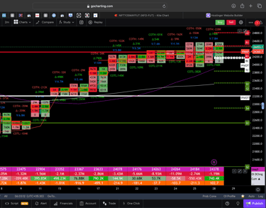 Nifty 50 Future - daily Timeframe  order-flow Chart Showing Market Trends  for Today Market 