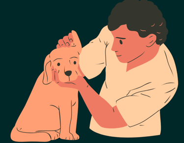 dog Advisor | dog advisor | dogAdvisor.dog 
