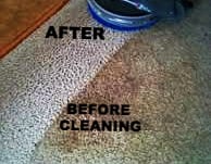 Dirty carpet being cleaned before and after photo.