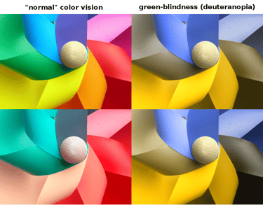 Comparison of what people with different types of color blindness see