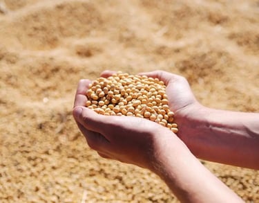 commodities