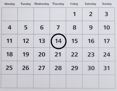 NAPLAN YEAR 3 Calendar
