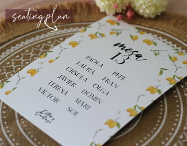 seating plan boda