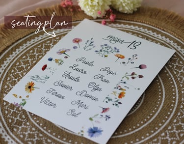 seating plan boda
