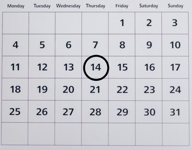 NAPLAN Year 7 Calendar