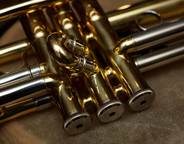 gros plan sur pistons de trompette