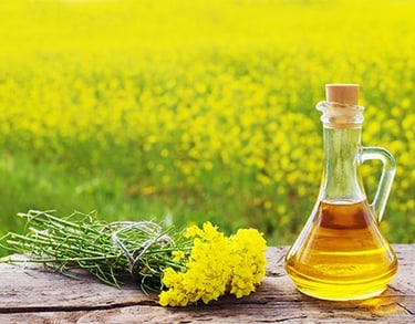 Camelina Oil