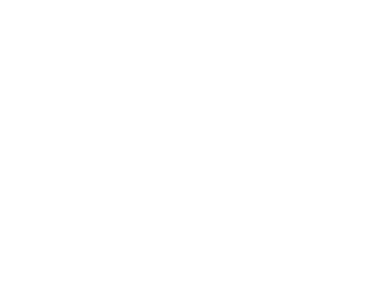 Logotipo Plácido Arquitetura Consciente