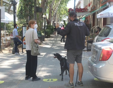 Tenencia responsable providencia