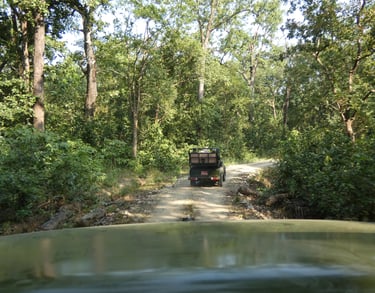 jeep safari  in Bardiya National Park