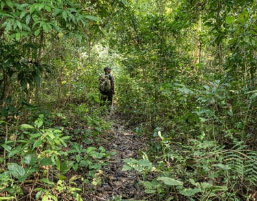 Daman in Bardiya jungle