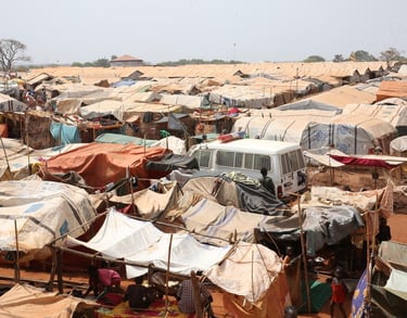 Protection of Civilians Site in Wau, South Sudan - UN Photo/Nektarios Markogiannis