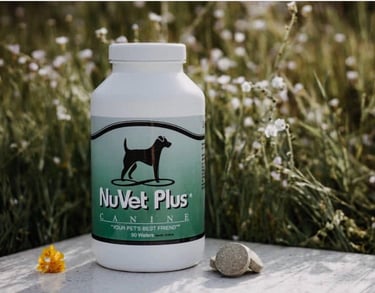 NUVET PLUS TITANIUM KILO KENNELS