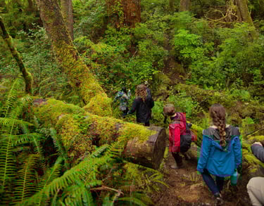 Indigenous land-based field school gathering