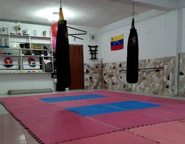 dojo de karate venezuela con sacos de entrenamiento 