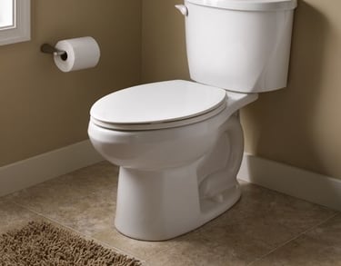 desentupimento de vaso sanitário