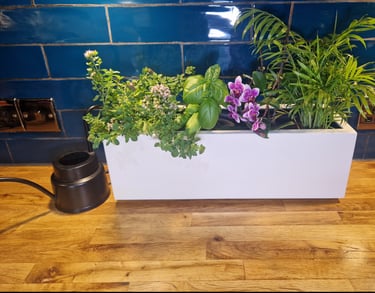 Indoor herb planter box handmade in UK from solid quality wood painted in colour white