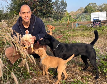 organic farm with dogs หมา ออร์แกนิค