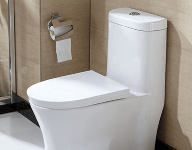 desentupimento de vaso