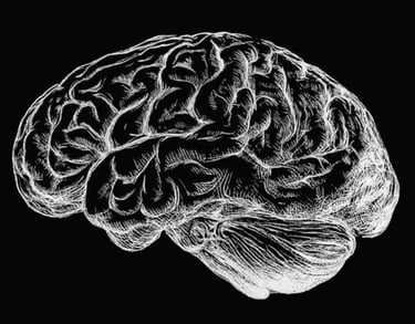 Raw Elements Logo – Minimalistisches Design Spiralvase 19 cm für Pampasgras – minimalistisches Desi