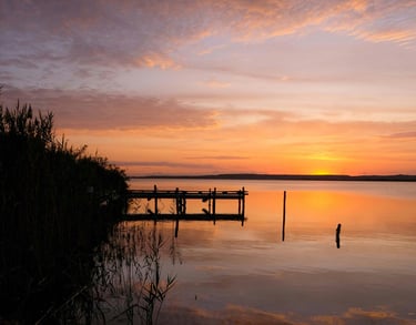 Cami Hoang – Soft Sunset Return | Home Rest & Rise Section