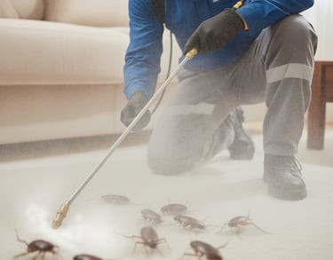 dedetização de barata