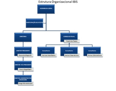 Estrutura organizacional 